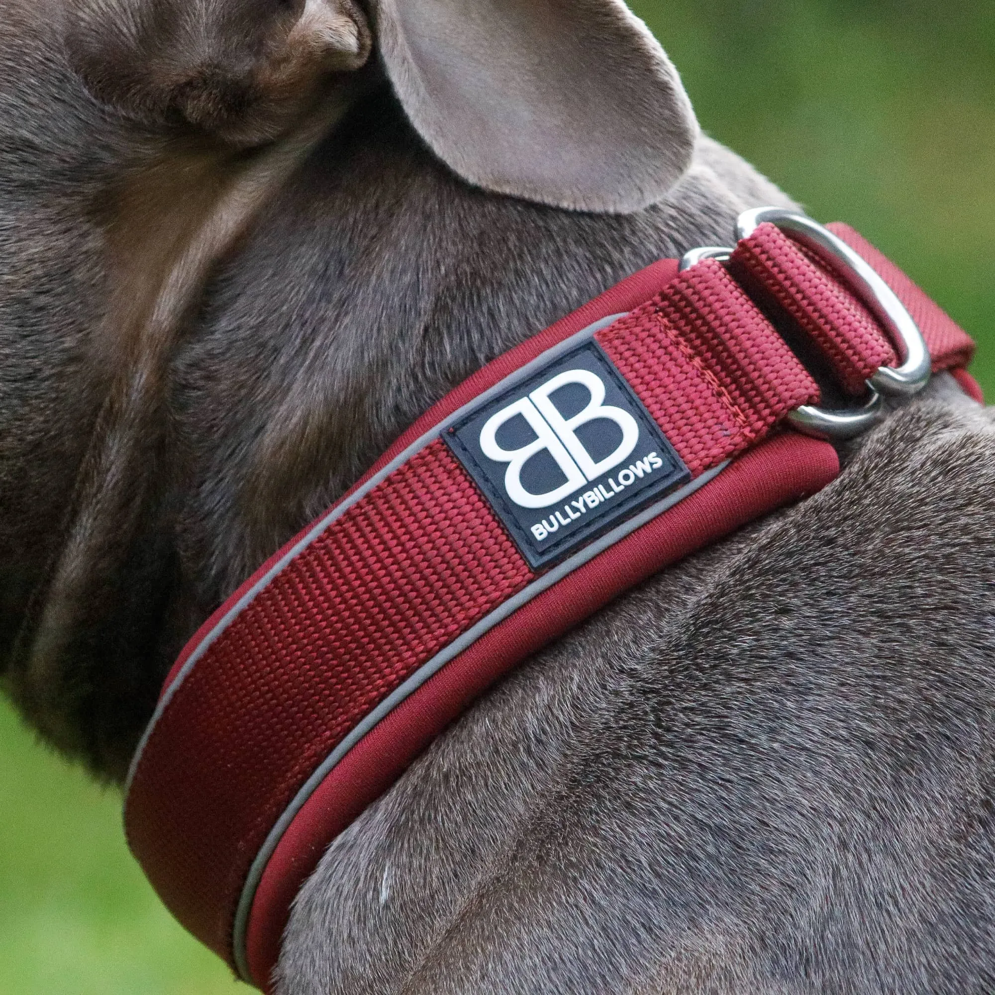 4cm Slip on Collar | Foam Padded - Black x Orange