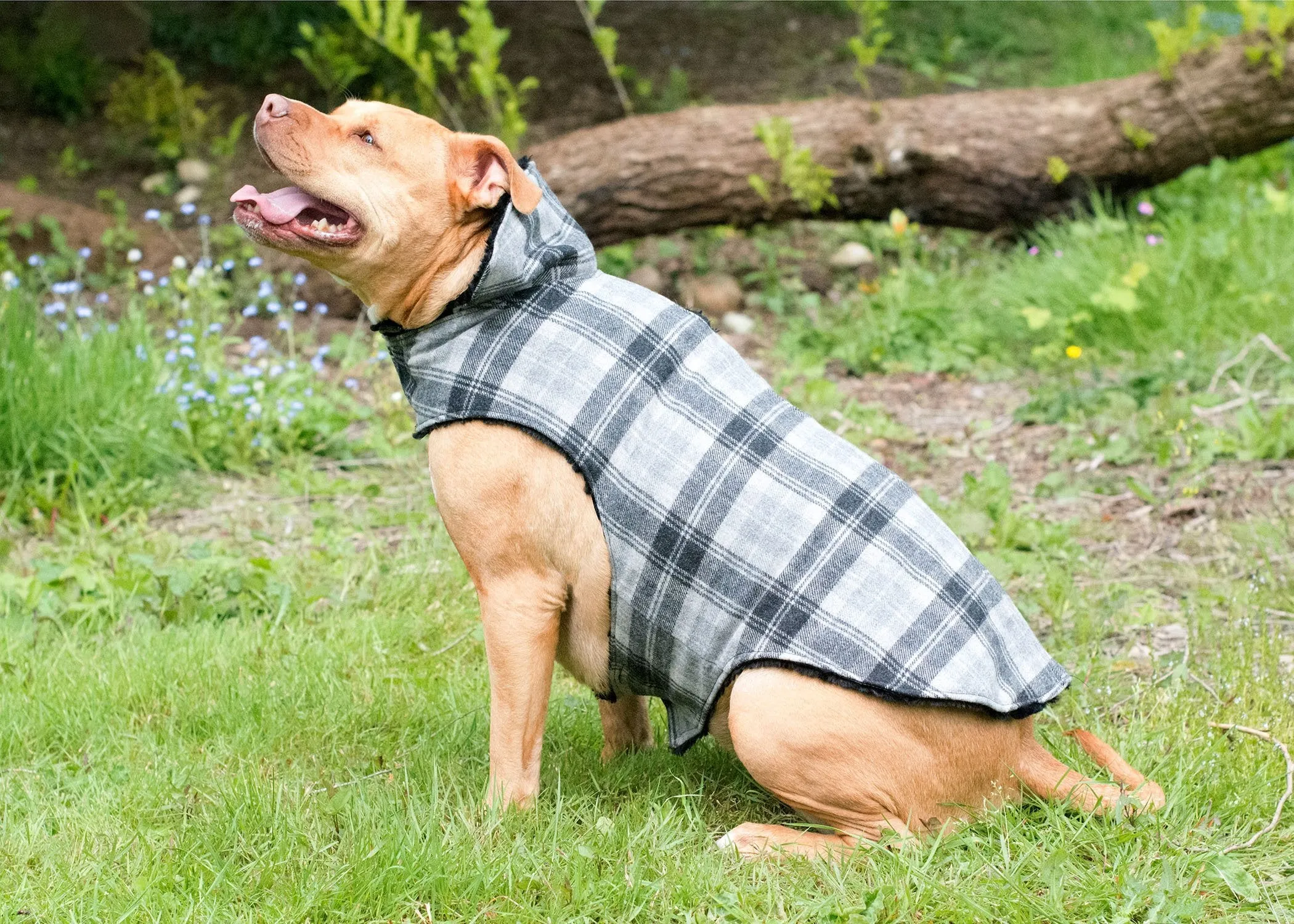 Dog Coat, Reversible - Wool Plaid with Cuddly Faux Fur - Sold Out!