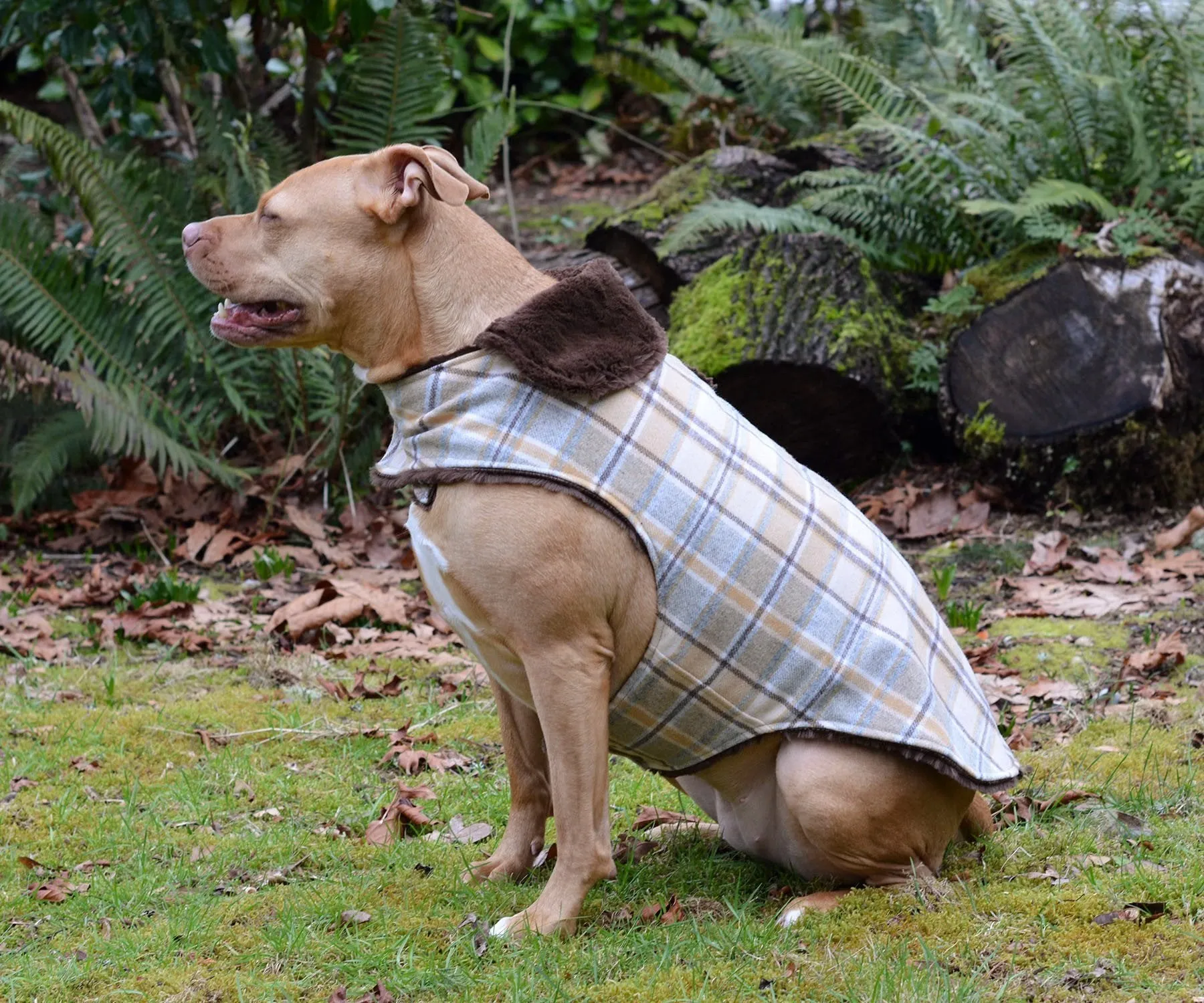 Dog Coat, Reversible - Wool Plaid with Cuddly Faux Fur - Sold Out!
